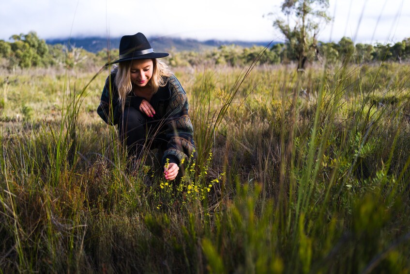 Grampians National Park Wildlife and Wilderness Escape Tour