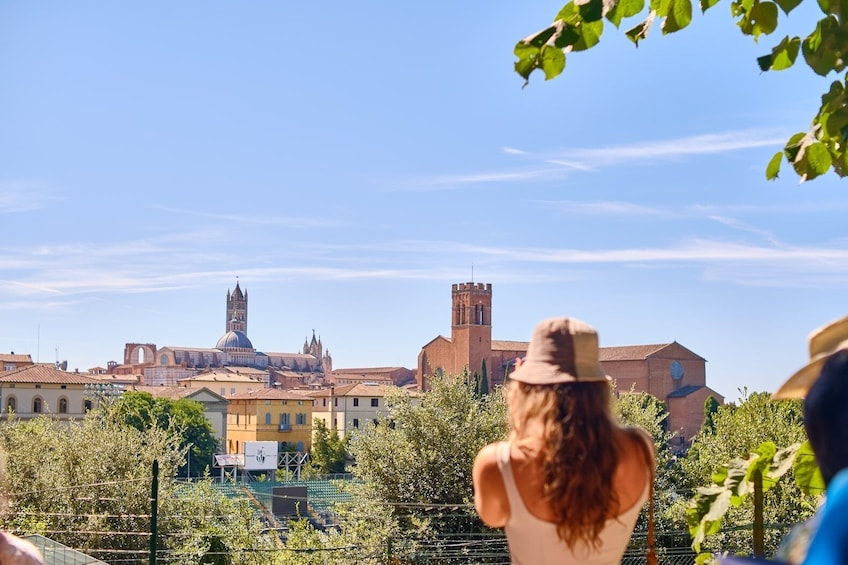 Siena, San Gimignano, Monteriggioni & Chianti from Florence