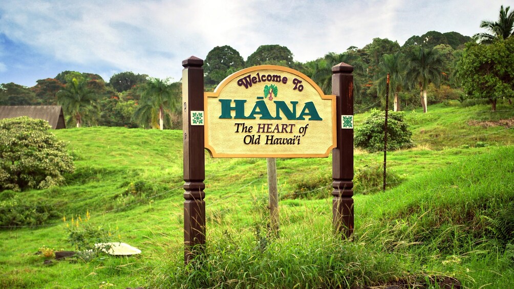 Road to Hana Premium Picnic via Luxury Limo-Van