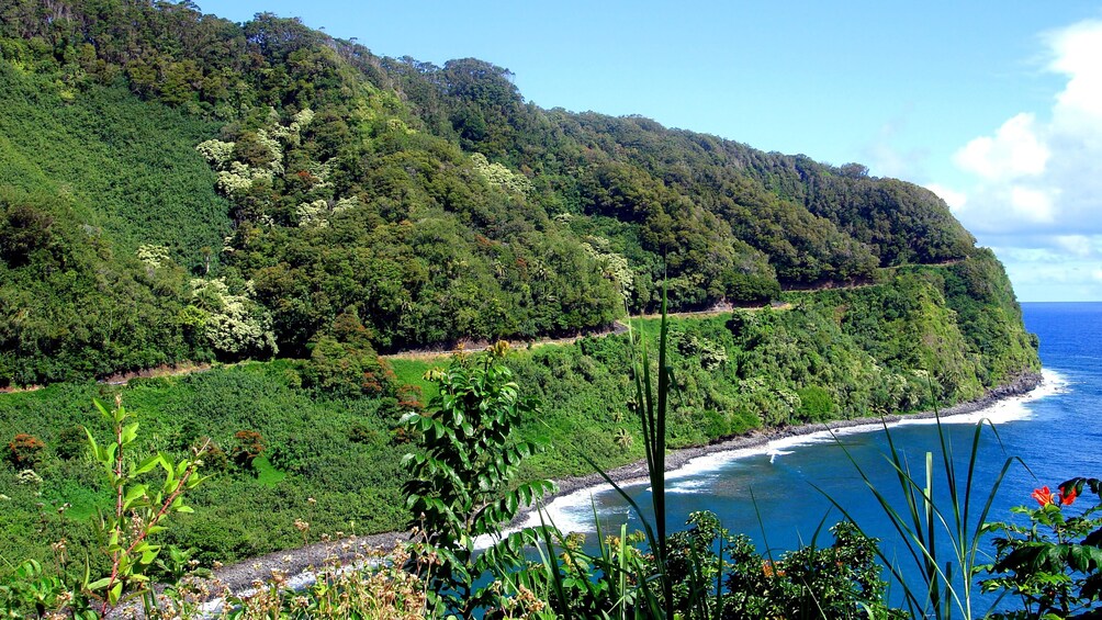 Road to Hana Premium Picnic via Luxury Limo-Van