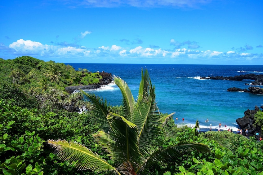 Small Group Luxury Road to Hana Waterfalls & Lunch