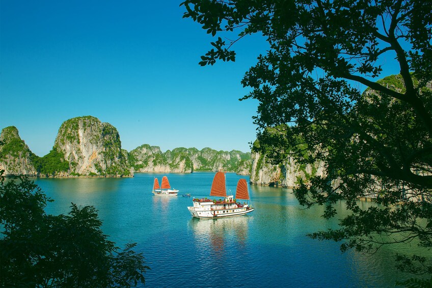 Boats in Halong Bay