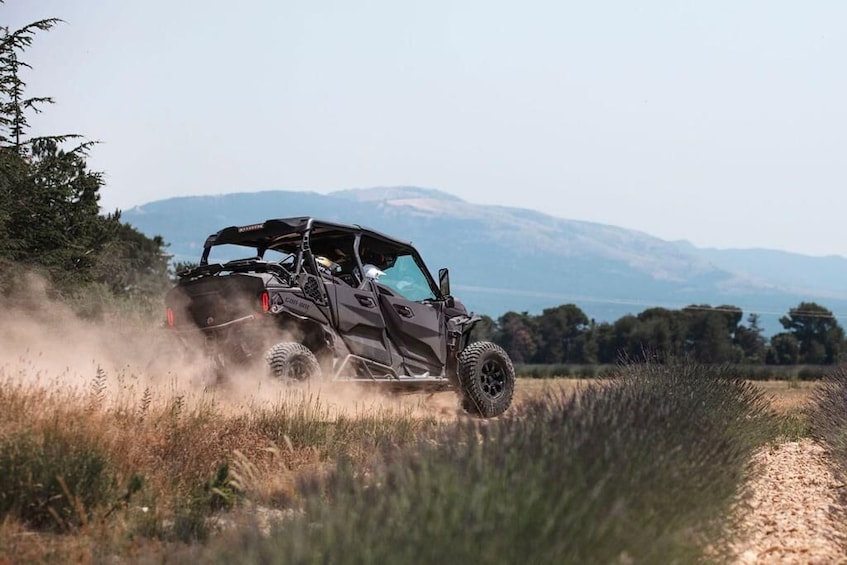 Buggy tour Teide Experience