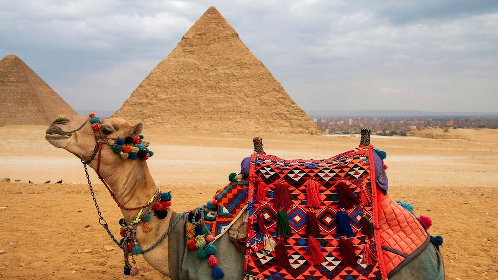 Giza Pyramids by Camel Private Guided Tour