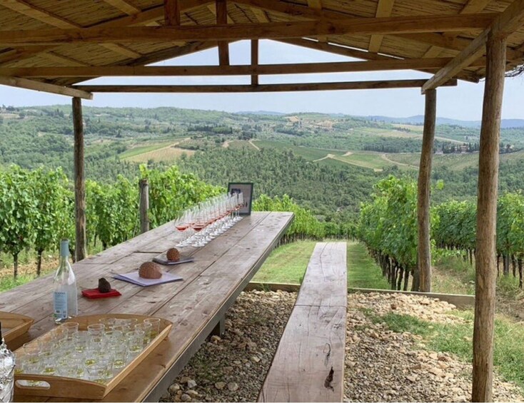 Chianti Wine and Food Safari