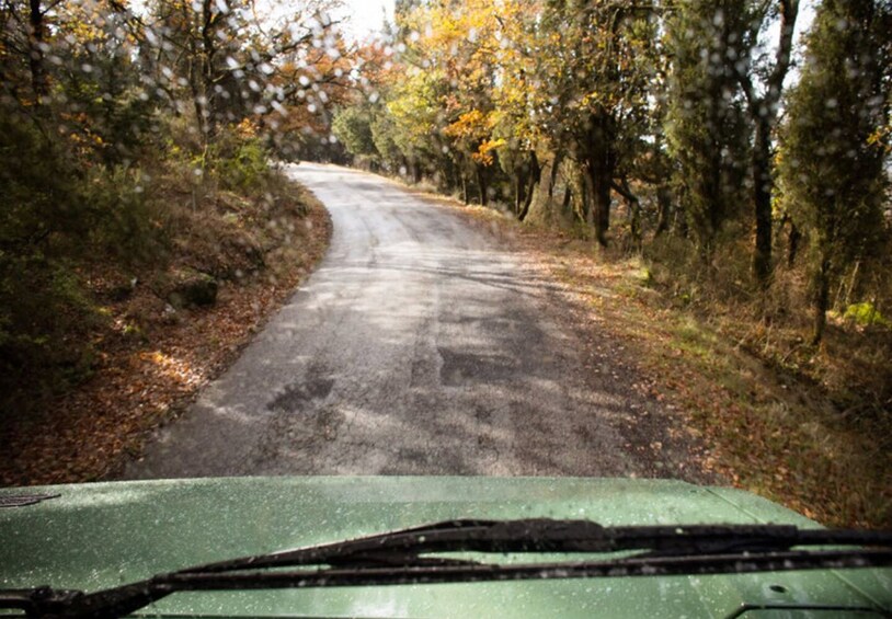 Chianti Wine and Food Safari