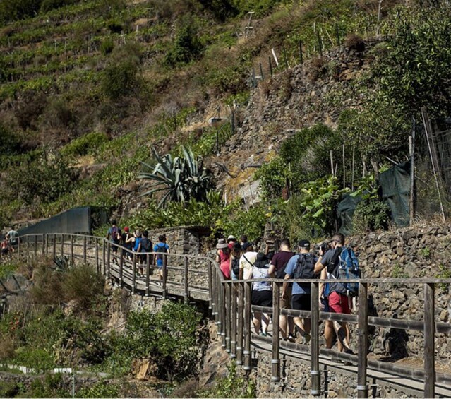 Cinque Terre Hiking Day Trip from Florence