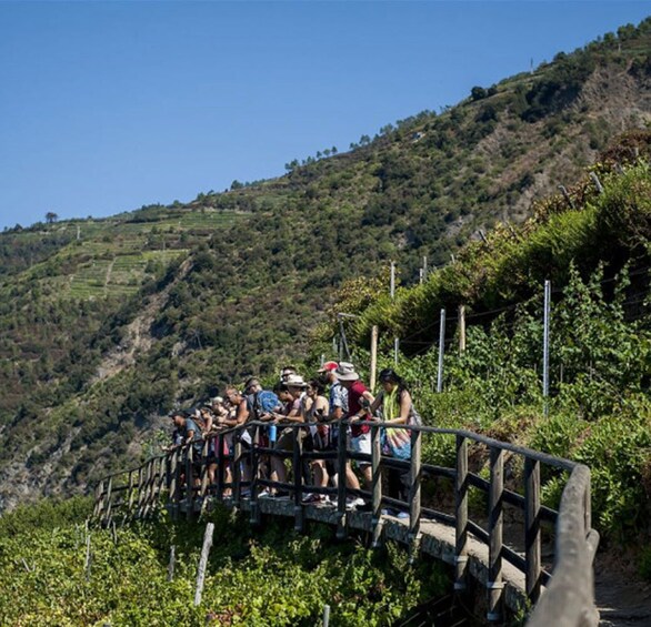 Cinque Terre Hiking Day Trip from Florence