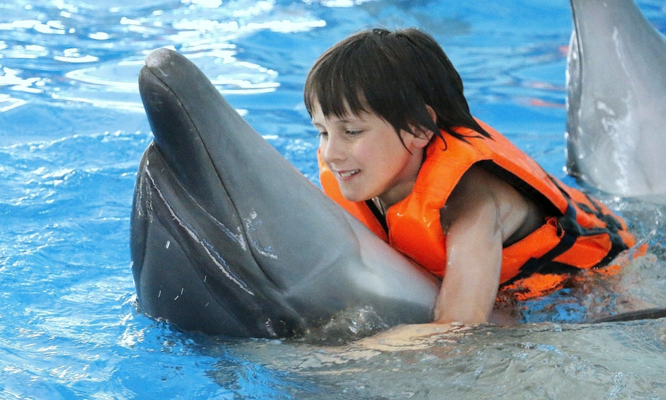 Skip-the-Line Nemo Dolphins Bay Show Ticket