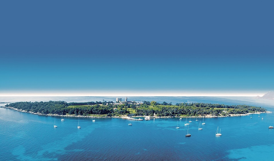 Half Day Tour: Cannes & Antibes