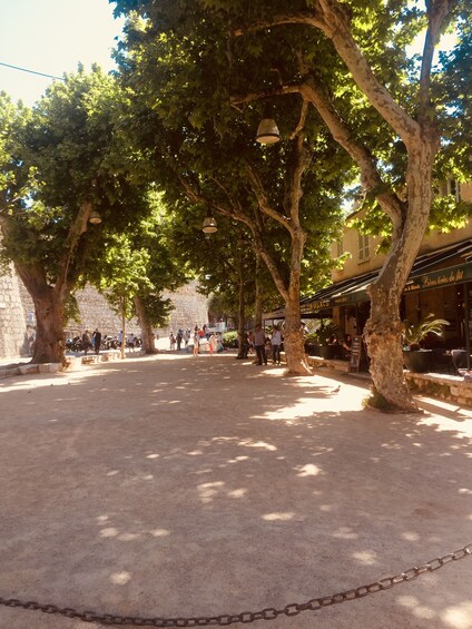 Courtyard surrounded by trees with lanterns in Provence