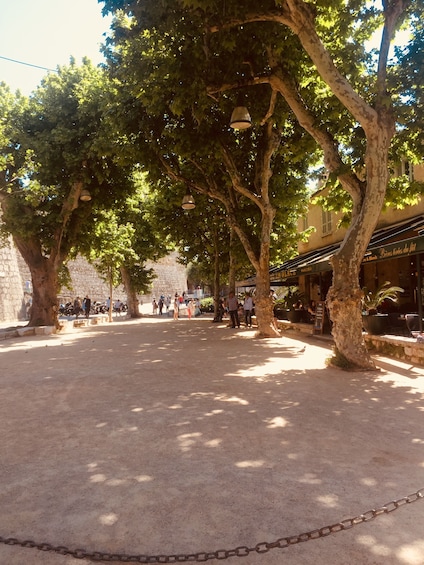 Courtyard surrounded by trees with lanterns in Provence
