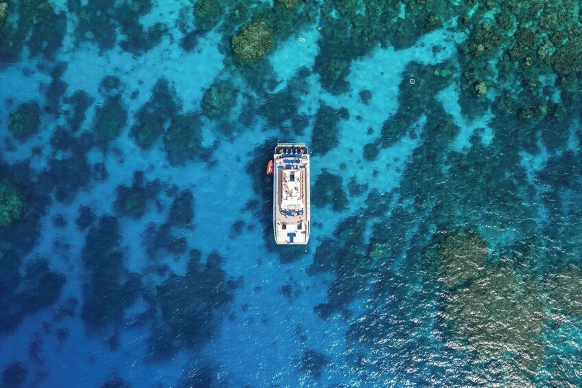 Cairns Reef Experience - Dreamtime Dive & Snorkel