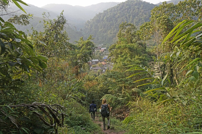 Group hiking through a lush jungle in Luang Prabang
