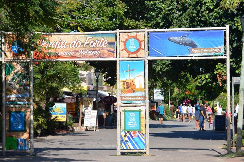 Praia Do Forte & Guarajuba Beach Day Trip	
