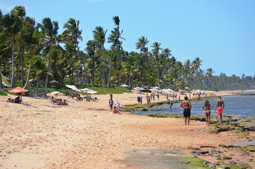 Praia Do Forte & Guarajuba Beach Day Trip	