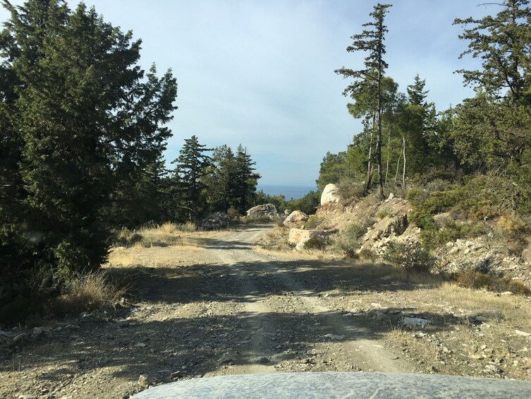 Land Rover Safari North Route with driver