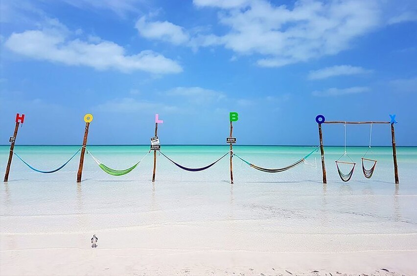 Shared Tour to Holbox 