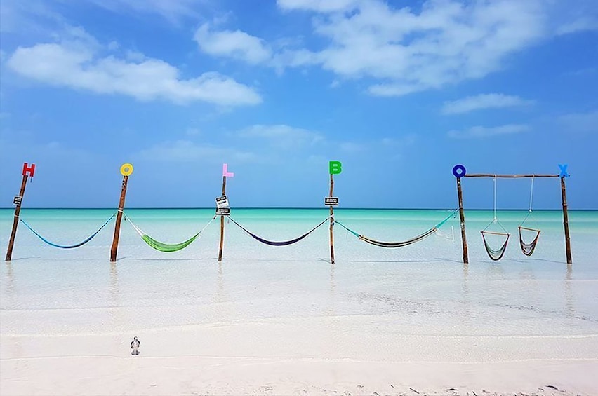 Shared Tour to Holbox