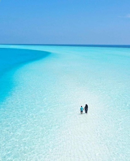 Shared Tour to Holbox