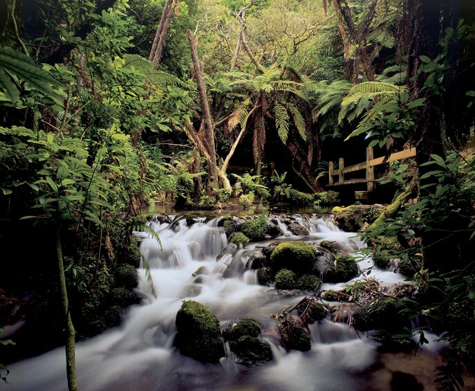 Waterfall in South Island, New Zealand