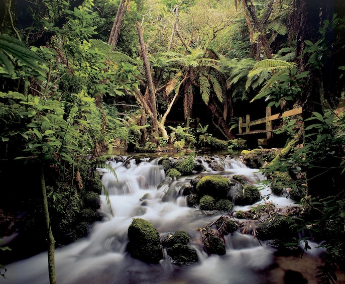 3-Day Auckland to Wellington Tour