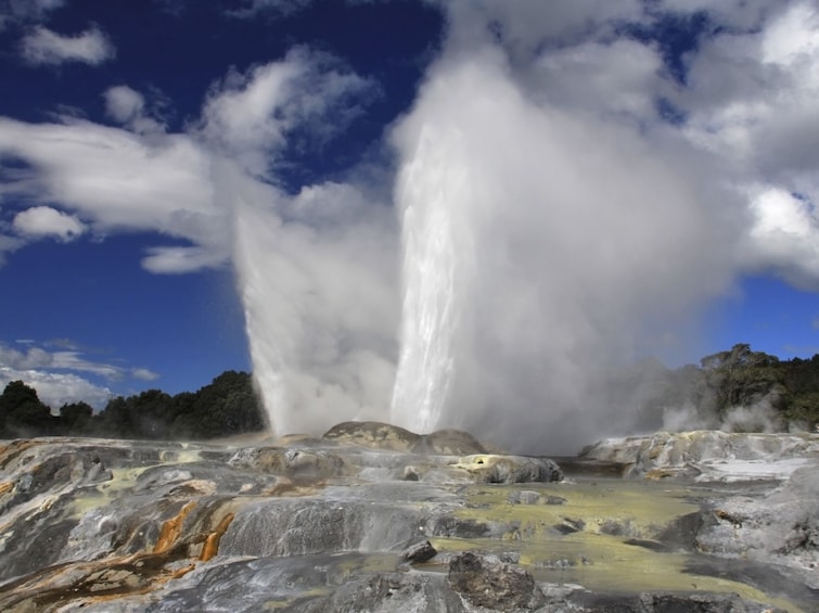 3-Day Auckland to Wellington Tour