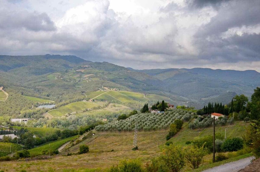 Fields near San Gimignano, Italy