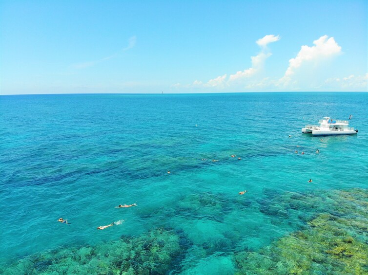 Key West Afternoon Snorkel With Open Well Bar