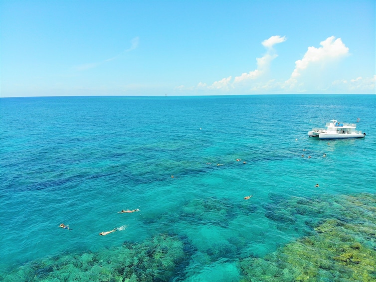 Key West Afternoon Snorkel With Open Well Bar