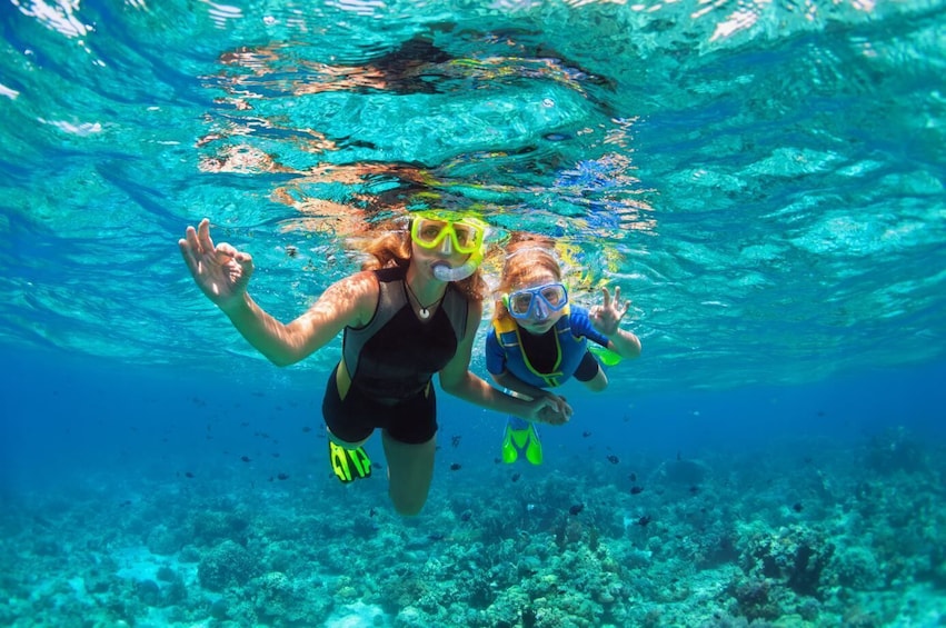 Key West Afternoon Snorkel With Open Well Bar