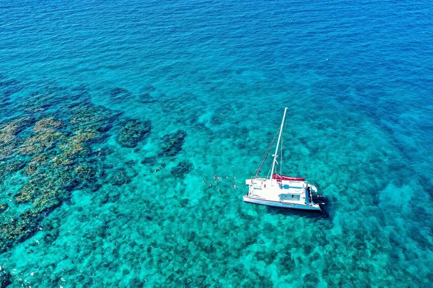 Key West Afternoon Snorkel With Open Well Bar
