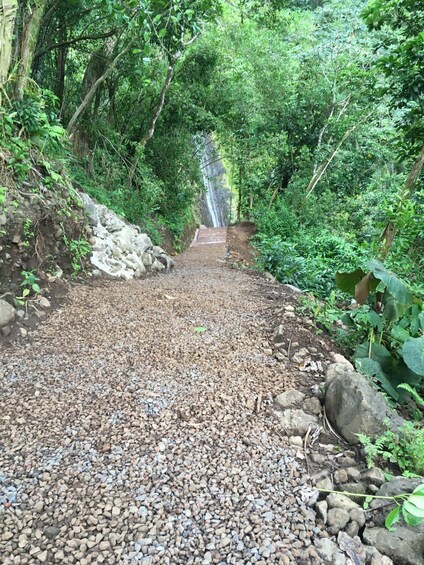 Hawaiian Waterfall Hike 