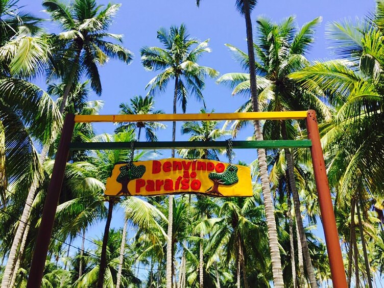 Tour To Carneiros Beach With Catamaran Ride