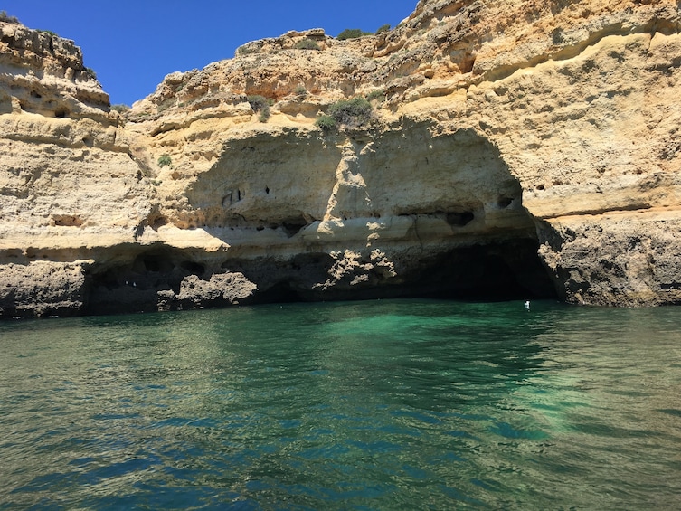 Private Tour with Captain