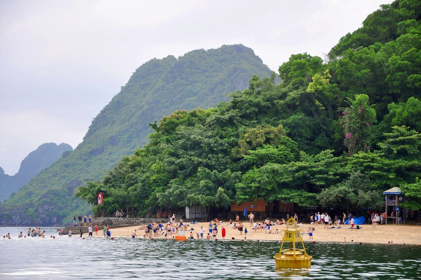 4-hour Afternoon Private Cruise on Halong Bay