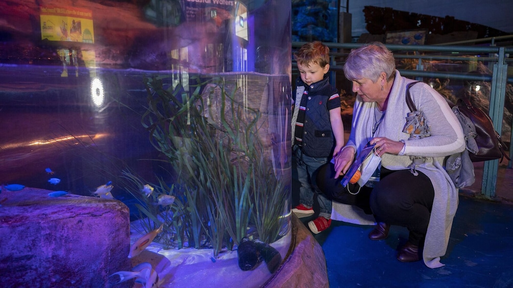 SEA LIFE Birmingham