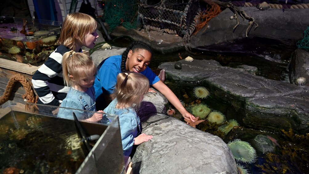 SEA LIFE Birmingham