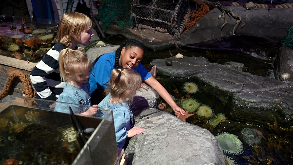 SEA LIFE Birmingham