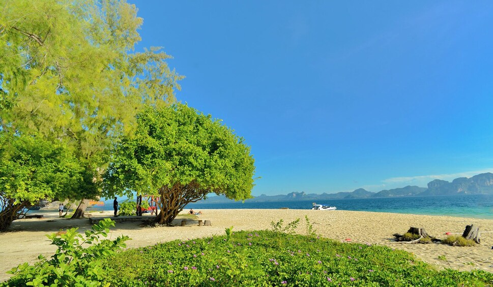 Early Bird Phi Phi Island & 4 Islands Tour From Krabi