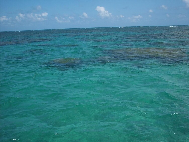 Tour To Maracajaú With Catamaran Ride