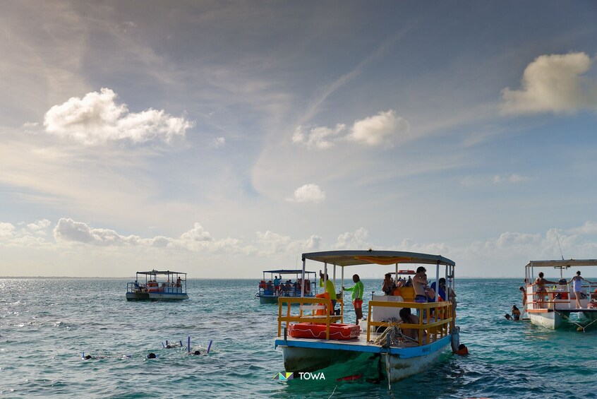 Tour To Maracajaú With Catamaran Ride