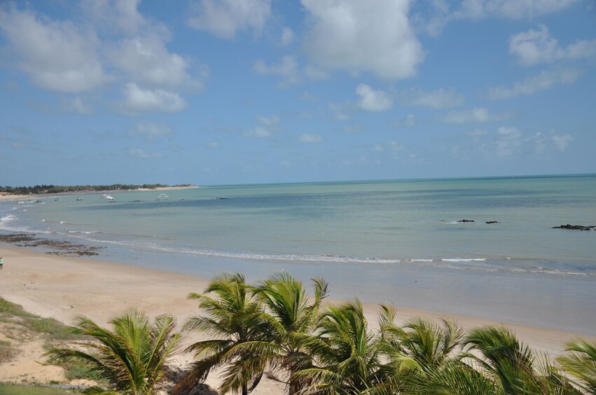 Tour To Maracajaú With Catamaran Ride