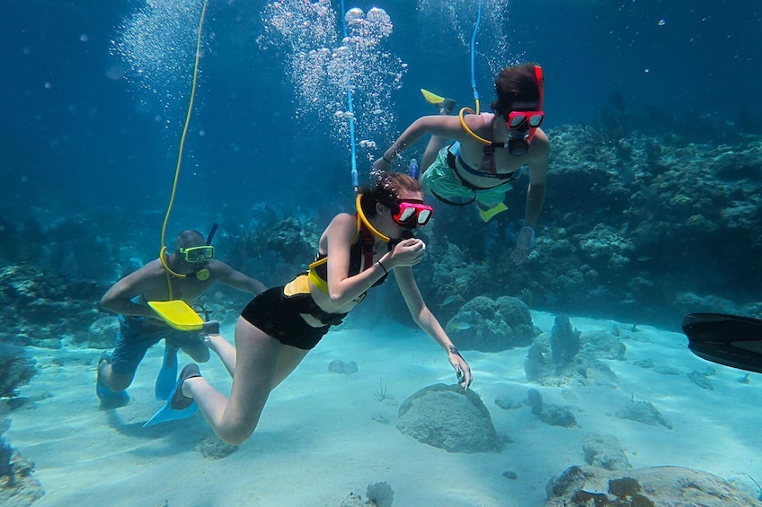 12 hours Day at Key West With Boat Tour and Snorkeling