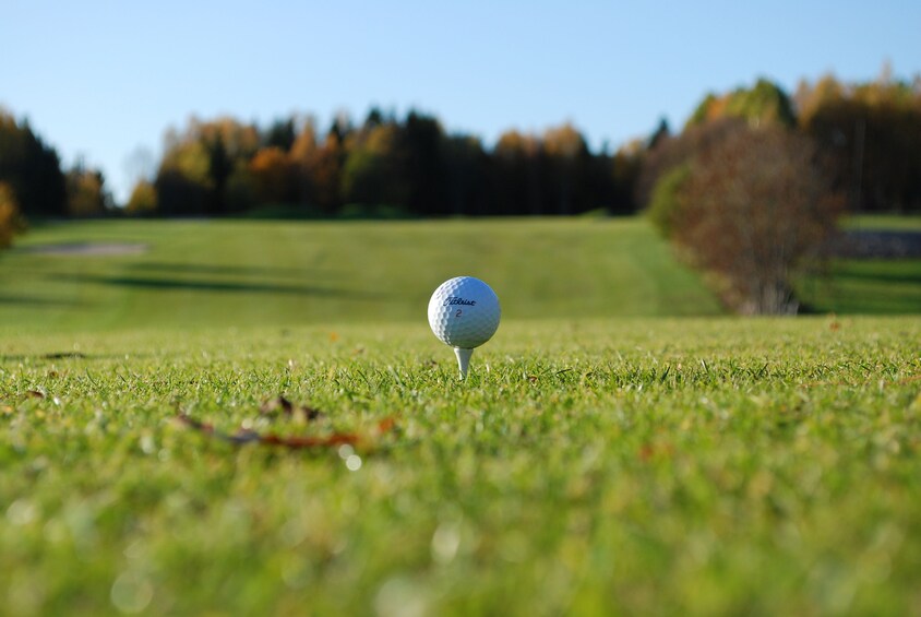 Golf ball on a tee at Twin Doves Golf Club