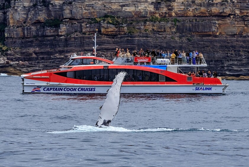 Whale Watching Cruise with Taronga Zoo Ticket