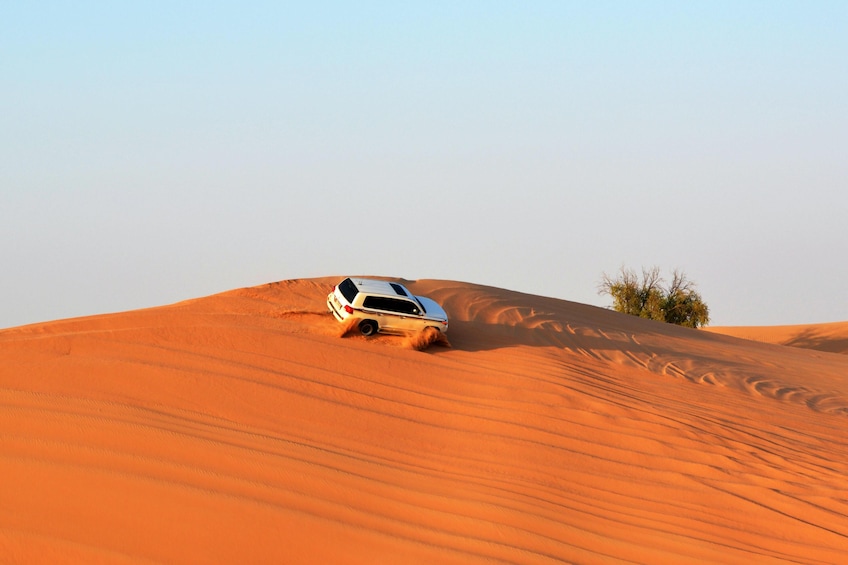 Desert Safari + Dubai Parks & Resort Entry- Combo
