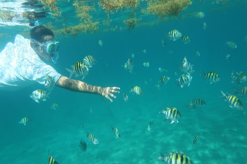 Private Snorkeling Adventure with the Ultimate Local Expert