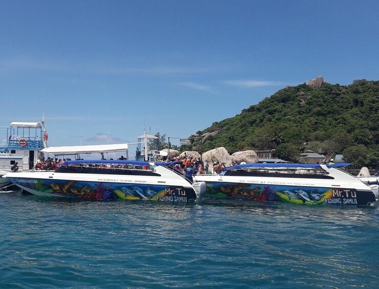 Mr. Tu fishing boats docked in Thailand