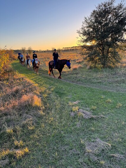 Horseback Trail Ride
